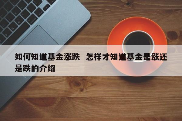 如何知道基金涨跌  怎样才知道基金是涨还是跌的介绍