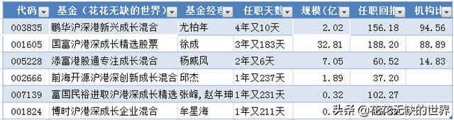 成长型基金有哪些